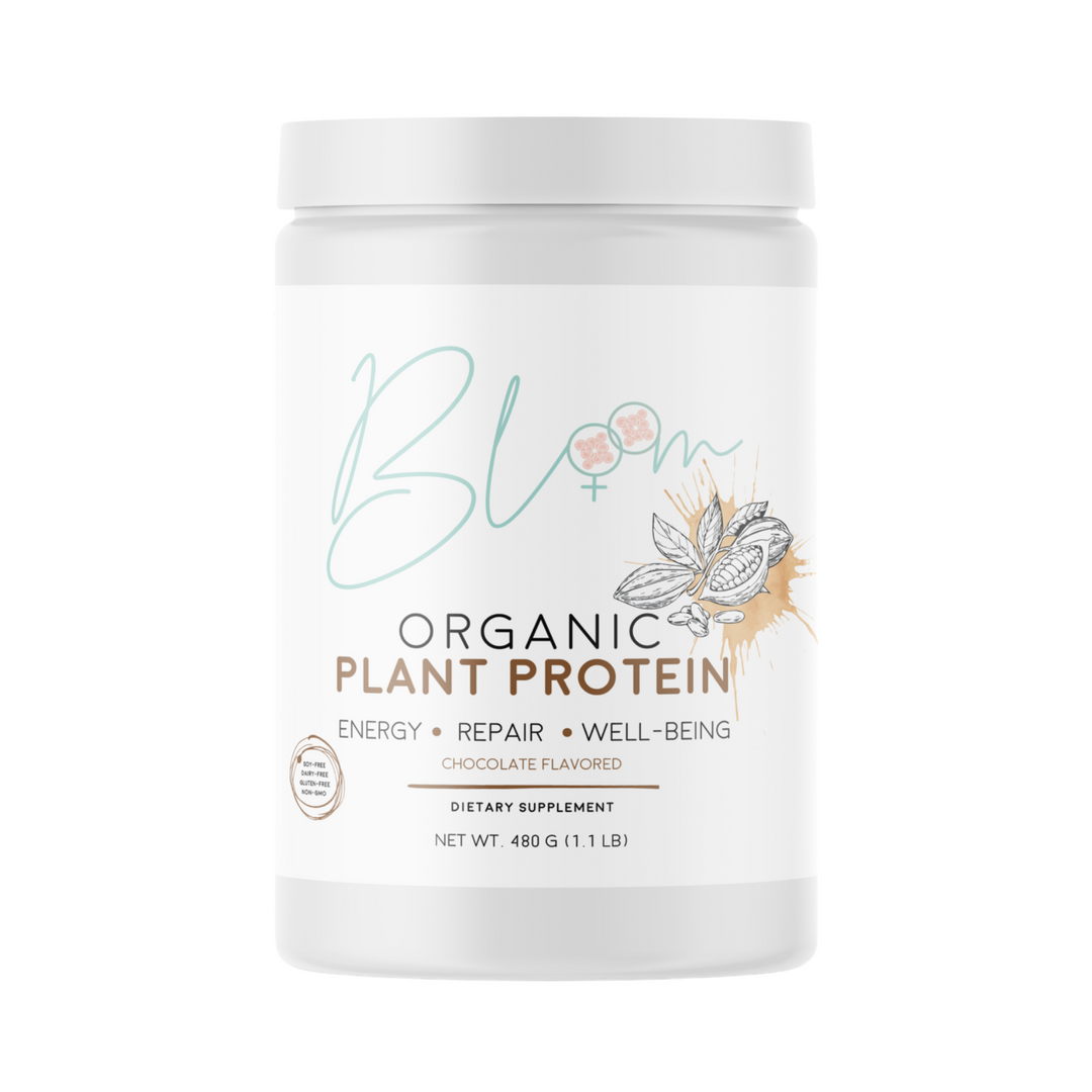 Chocolate Plant Protein
