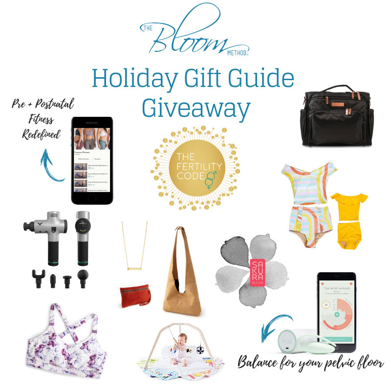 Holiday Gift Guide Giveaway